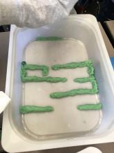 Student's fish trap made into a maze shape