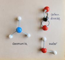 decomposition products