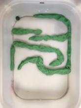 Student's fish trap