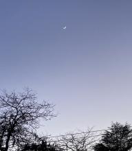 Real crescent moon