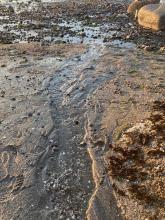 Erosion of a beach by water