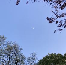 Real half moon