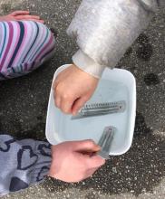 Holding the thermometer correctly to read the red line