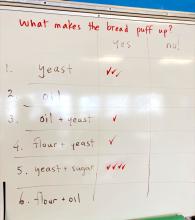 Group observations