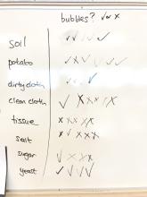 Class results