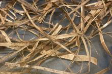 Cedar strips for twining