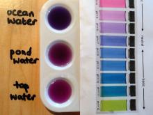 Different kinds of water and their pH
