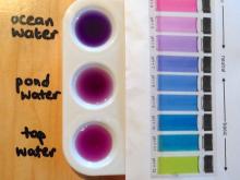 Different kinds of water and their pH