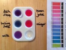 Red cabbage colour changes and pH chart