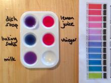 Red cabbage colour changes and pH chart