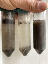 Sedimentation test with forest (left), beach, and garden (right) soils