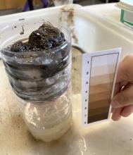 Measuring how clean the water becomes after passing through the chosen filter
