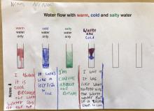 student worksheet