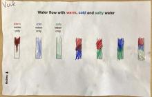 student worksheet