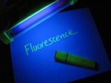 fluorescent marker