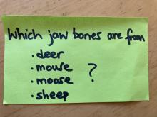 Challenge posted with jaw bones