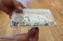 slide the magnet under the label and look through the top