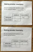 worksheet for older students