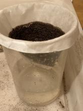 ...then filter the potting soil/vermiculite from the water