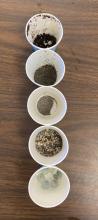 little cups of separated materials