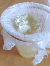 separating curds and whey