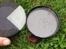 Pond life attracted to sunlight using the blacked out petri dish