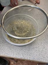 some students found that the sieve picked up the floating vermiculite