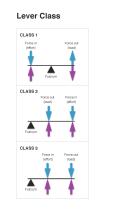 lever classes forces - bats/raquets class 3 purple arrows