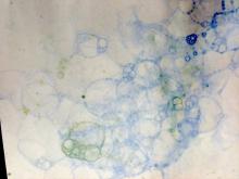bubble art