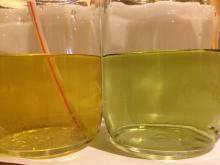 Water before (right) and after (left) blowing in CO2-rich breath