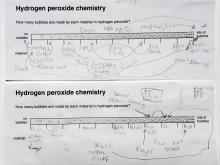 worksheet