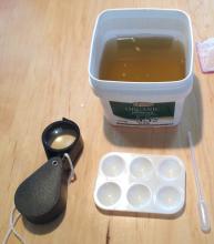 magnifying pond water