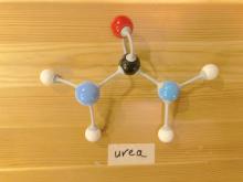 urea molecule for students to copy